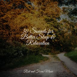 30 Sounds for Better Sleep & Relaxation - Calming Sounds