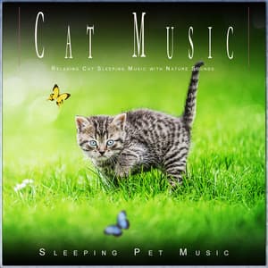 Cat Music: Relaxing Cat Sleeping Music with Nature Sounds - Cat Music Stevens