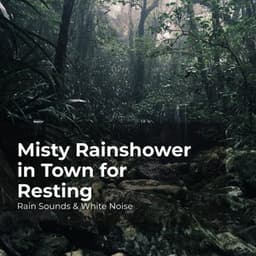 Misty Rainshower in Town for Resting - Rain Sounds & White Noise