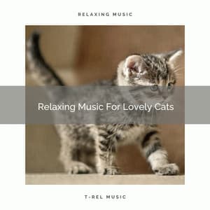 Relaxing Music For Lovely Cats - Sleep Cat