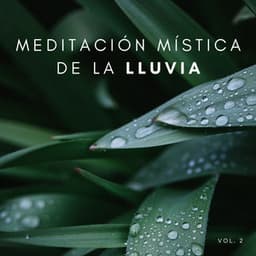 Meditación Mística De La Lluvia Vol. 2 - Naturaleza Sonidos