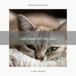 2022 Cats Sleep All Day vol.1 - Cat Music Experience