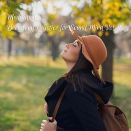 Meditation: Breathing Practice for Sound Mind Vol. 2 - amazing Spa Experience