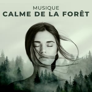 Musique calme de la forêt: Sons naturels pour le bien-être et la tranquillité d'esprit - Oasis Des Bruits Naturels