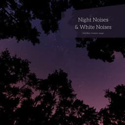 Night Noises & White Noises , Loopable - White Noise Atmospheres