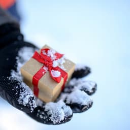 Frozen Box - Soothing Symphony