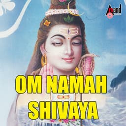 Om Namah Shivaya - Rajesh Krishnan