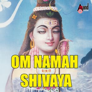 Om Namah Shivaya - Rajesh Krishnan