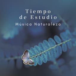 Tiempo de Estudio sin Interrupciones: Música Relajante Naturaleza para Estudiar para el TDAH, Ayuda con los Problemas de Concentración - Academia de Música para Estudiar Fácilmente