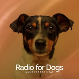 Radio for Dogs - Music for Dog's Ear