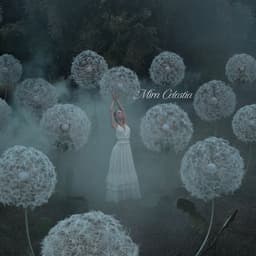 Celestial Wishkeepers - Mira Celestia