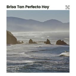 Brisa Tan Perfecto Hoy - Olas del Mar