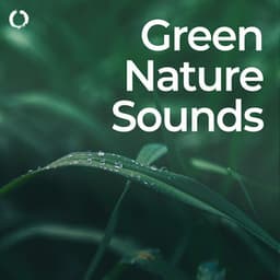 Green Nature Sounds: Relaxing Solfeggio - Nature & Rainforest Sounds Collective