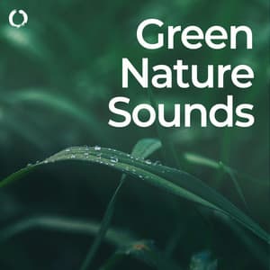 Green Nature Sounds: Relaxing Solfeggio - Nature & Rainforest Sounds Collective