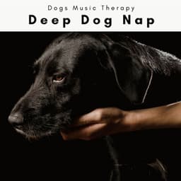 1 Deep Dog Nap - Dogs Music Therapy