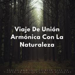 Viaje De Unión Armónica Con La Naturaleza: Sonido Ambiente De Aves Para Un Tiempo De Calidad Con Las Mascotas - Canciones de animales y pájaros