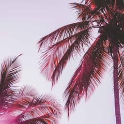 Backdrop for Right Vibes - Jazz-hop - Chill Hop Lofi Study Beats