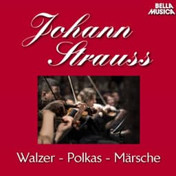Stauss Sohn: Walzer - Polkas - Märsche, Vol. 2 - Johann Strauss II