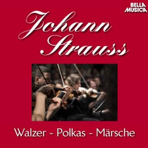 Stauss Sohn: Walzer - Polkas - Märsche, Vol. 2 - Johann Strauss II