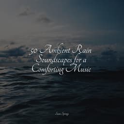 50 Ambient Rain Soundscapes for a Comforting Music - Nature's Symphony