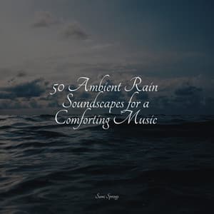 50 Ambient Rain Soundscapes for a Comforting Music - Nature's Symphony