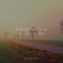 50 Soothing Tracks for Zen Relaxation and Sleep - Musica para Dormir Dream House