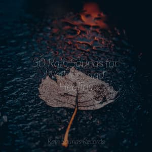 50 Rain Sounds for Wellness and Healing - Canciones de Cuna para Bebés Acadèmico