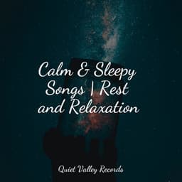 Calm & Sleepy Songs | Rest and Relaxation - Yoga Music