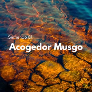 Sintiendo El Acogedor Musgo - Sonidos de la naturaleza báltica