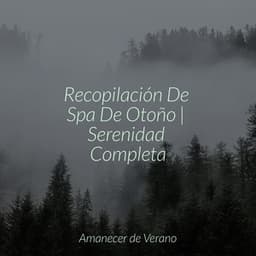 Recopilación De Spa De Otoño | Serenidad Completa - Relaxing Mindfulness Meditation Relaxation Maestro