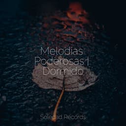 Melodías Poderosas | Dormido - Meditación Guiada