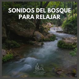 Sonidos del Bosque para Relajar - Sonido Del Bosque y Naturaleza