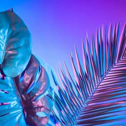 Ultimate Tropical Party Vibes - Dj Chilling del Mar