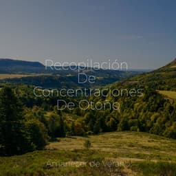 Recopilación De Concentraciones De Otoño - Study Music & Sounds