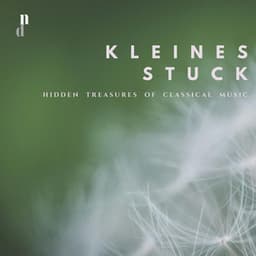 "078 Hidden Treasures of Classical Muslc": Kleines Stuck - Various Artists