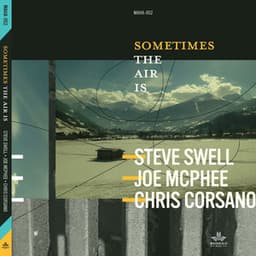 Sometimes The Air Is - Steve Swell
