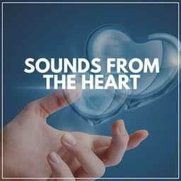 Sounds from the Heart - Study Piano Relaxation
