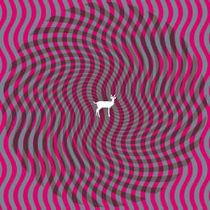 Cryptograms - Deerhunter