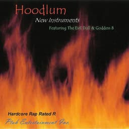 New Instruments - Hoodlum