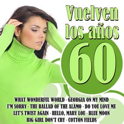 Vuelven los Años 60 - The 60's Pop Band