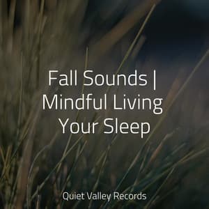 Fall Sounds | Mindful Living Your Sleep - Entspannungsmusik Meer
