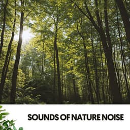Sounds of Nature Noise: Symphony of Serenity - Dog Relaxation