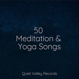50 Meditation & Yoga Songs - A Sudden Rainstorm