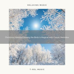 Christmas Holidays Among the Birds is Magical with Classic Melodies - Water Soundscapes