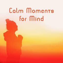 Calm Moments for Mind – Mental Detoxification, Destroy Anxiety and Stress - Calm Music Zone