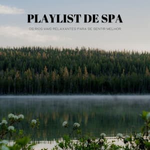 Playlist De Spa: Os Rios Mais Relaxantes Para Se Sentir Melhor - Ambiente