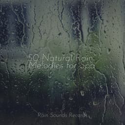 50 Natural Rain Melodies for Spa - PowerThoughts Meditation Club