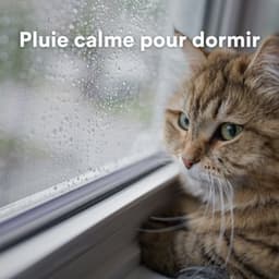 Pluie calme pour dormir - Rain Radiance