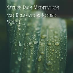 Meditative Rainfall: Nature's Relaxing Symphony - The Sound Of The Jungle