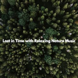 Lost in Time with Relaxing Nature Music - Music for Cooking